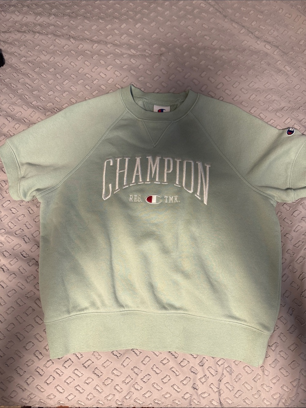 Champion Short Sleeve Crewneck Sweatshirt in Mint Green